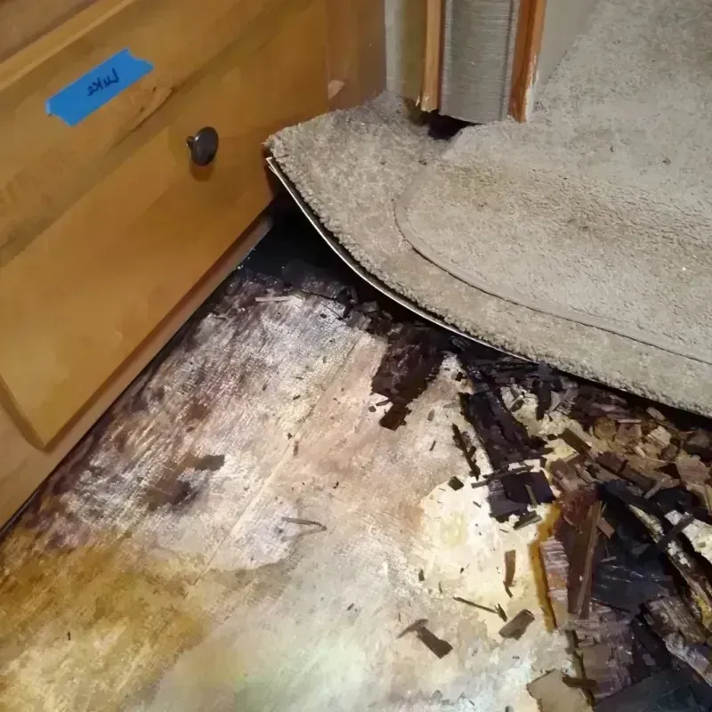 Best Wood Floor Water Damage Service in Sutter Creek, CA